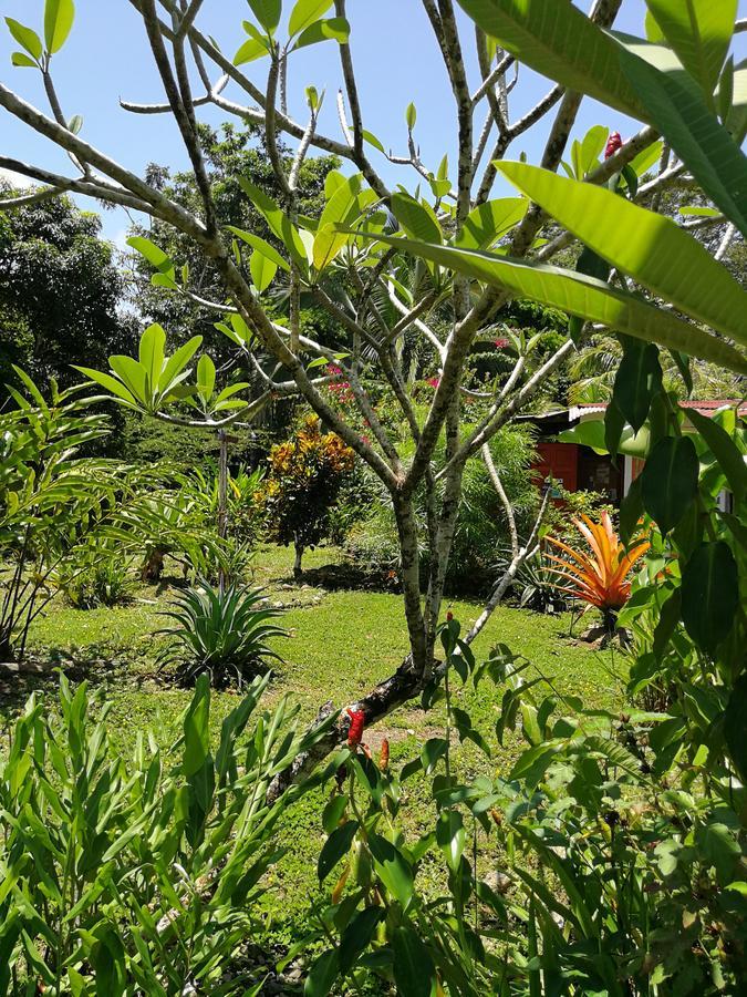 Hotel Secret Garden à Cahuita Extérieur photo